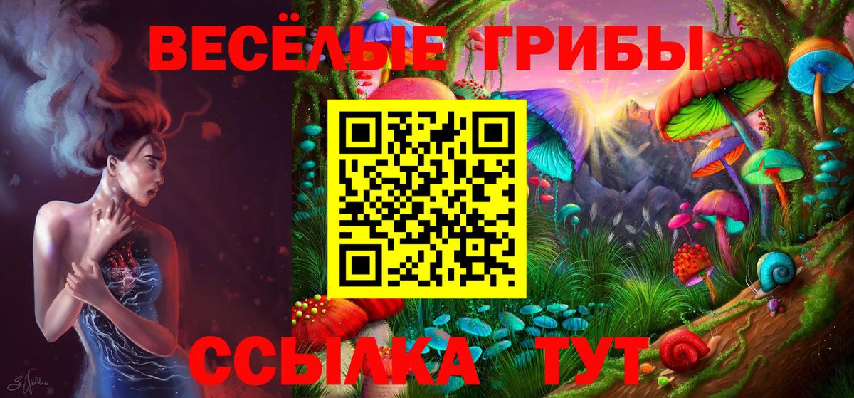 Псилоцибиновые грибы Cubensis  Вход с VPN  Татарск 