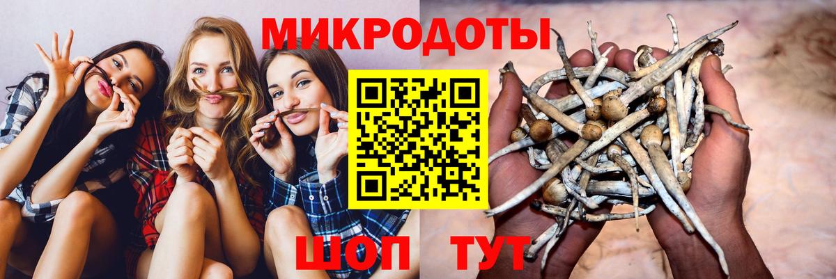 Псилоцибиновые грибы MAGIC MUSHROOMS Татарск